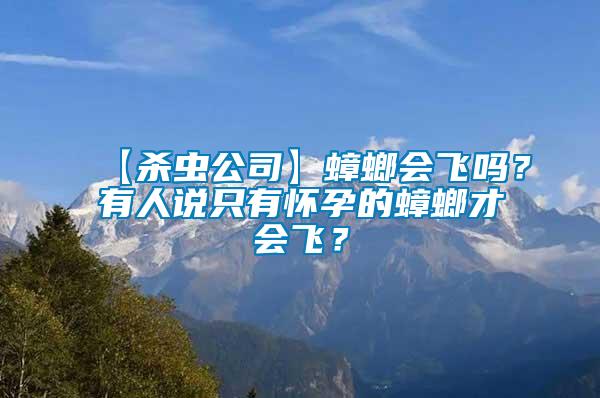 【殺蟲公司】蟑螂會飛嗎？有人說只有懷孕的蟑螂才會飛？