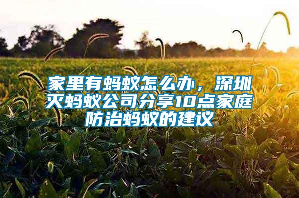 家里有螞蟻怎么辦，深圳滅螞蟻公司分享10點(diǎn)家庭防治螞蟻的建議