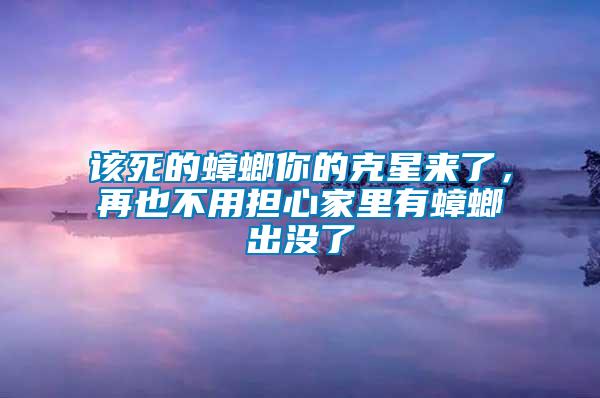 該死的蟑螂你的克星來了，再也不用擔(dān)心家里有蟑螂出沒了