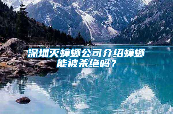 深圳滅蟑螂公司介紹蟑螂能被殺絕嗎？