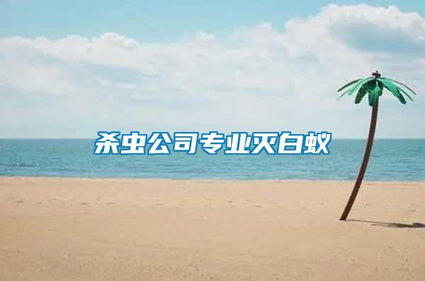 殺蟲(chóng)公司專業(yè)滅白蟻
