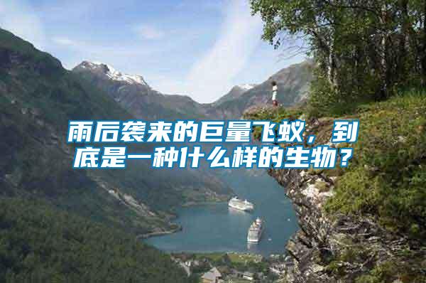 雨后襲來的巨量飛蟻，到底是一種什么樣的生物？