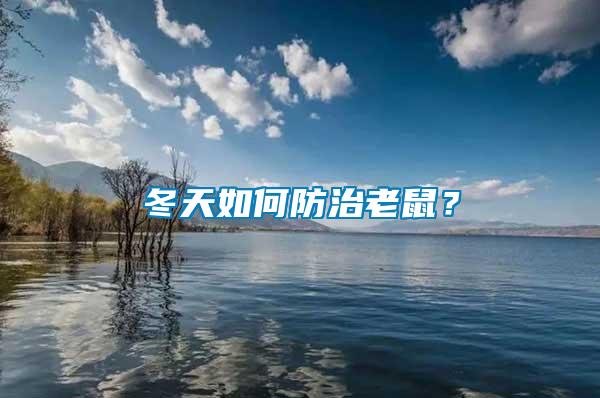 冬天如何防治老鼠？