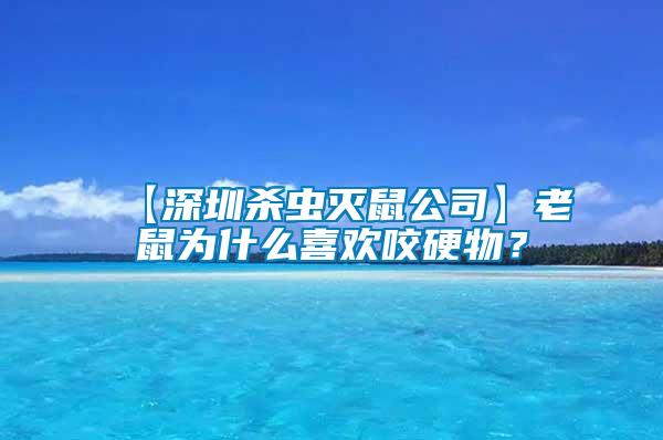 【深圳殺蟲滅鼠公司】老鼠為什么喜歡咬硬物？