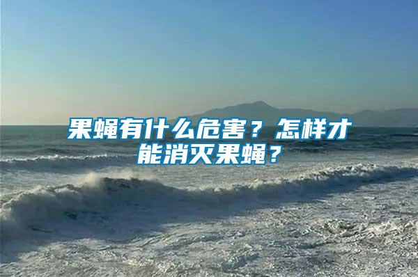 果蠅有什么危害？怎樣才能消滅果蠅？
