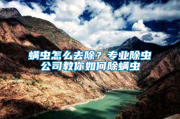 螨蟲怎么去除？專業(yè)除蟲公司教你如何除螨蟲