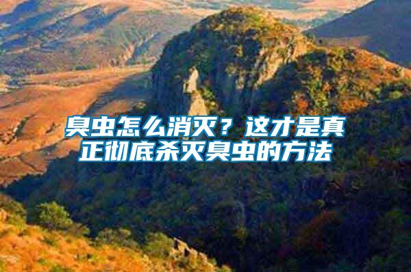 臭蟲怎么消滅？這才是真正徹底殺滅臭蟲的方法