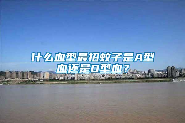 什么血型最招蚊子是A型血還是O型血？