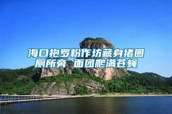 ?？诒Я_粉作坊藏身豬圈廁所旁 面團(tuán)爬滿蒼蠅
