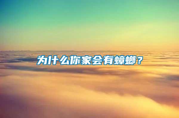 為什么你家會有蟑螂？