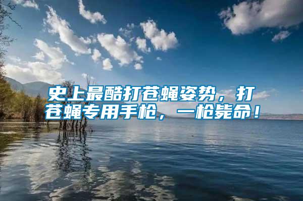 史上最酷打蒼蠅姿勢，打蒼蠅專用手槍，一槍斃命！