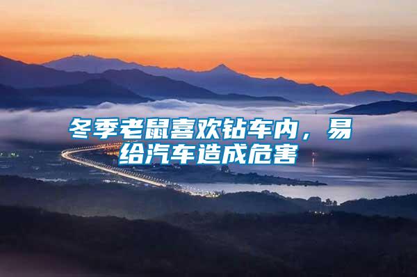 冬季老鼠喜歡鉆車內(nèi)，易給汽車造成危害