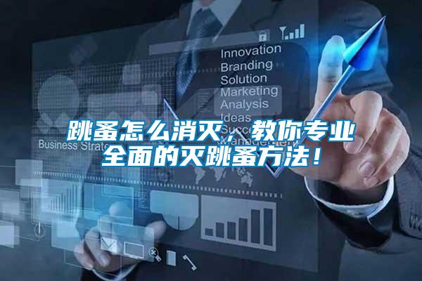 跳蚤怎么消滅，教你專業(yè)全面的滅跳蚤方法！
