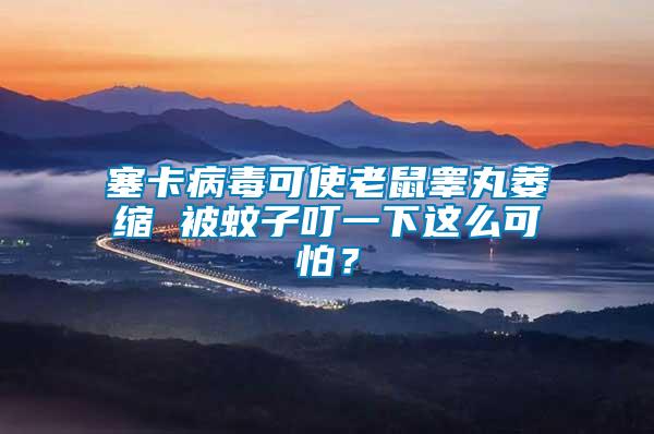 塞卡病毒可使老鼠睪丸萎縮 被蚊子叮一下這么可怕？