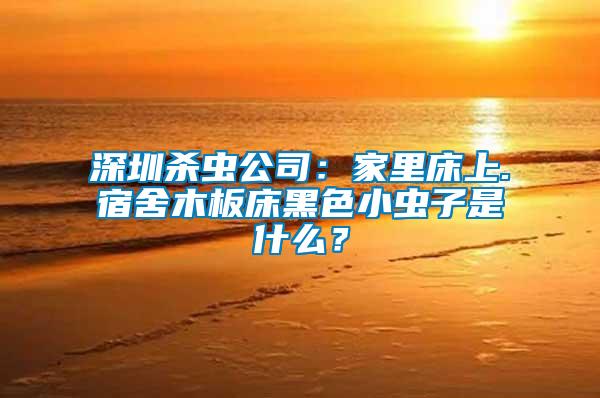 深圳殺蟲公司：家里床上.宿舍木板床黑色小蟲子是什么？
