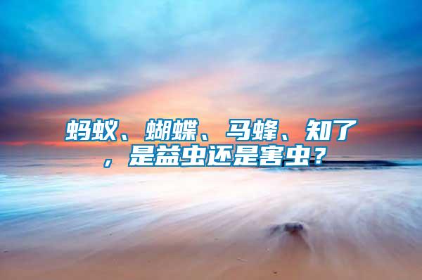 螞蟻、蝴蝶、馬蜂、知了，是益蟲還是害蟲？