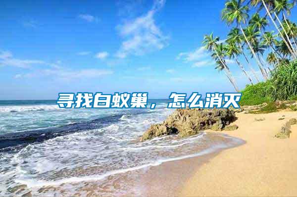 尋找白蟻巢，怎么消滅