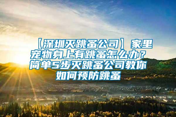 【深圳滅跳蚤公司】家里寵物身上有跳蚤怎么辦？簡單5步滅跳蚤公司教你如何預(yù)防跳蚤