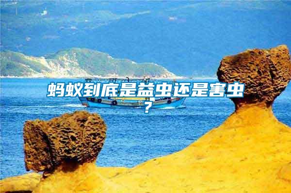 螞蟻到底是益蟲還是害蟲？