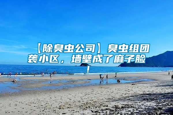 【除臭蟲公司】臭蟲組團襲小區(qū)，墻壁成了麻子臉！