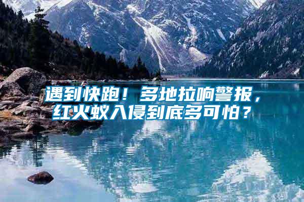 遇到快跑！多地拉響警報，紅火蟻入侵到底多可怕？