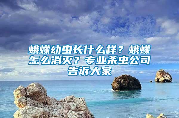 蛾蠓幼蟲長什么樣？蛾蠓怎么消滅？專業(yè)殺蟲公司告訴大家