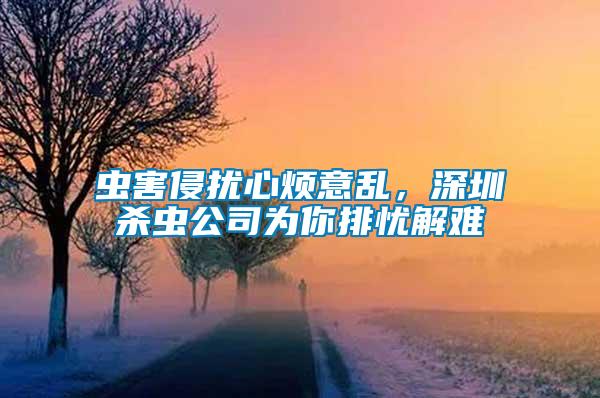 蟲害侵擾心煩意亂，深圳殺蟲公司為你排憂解難