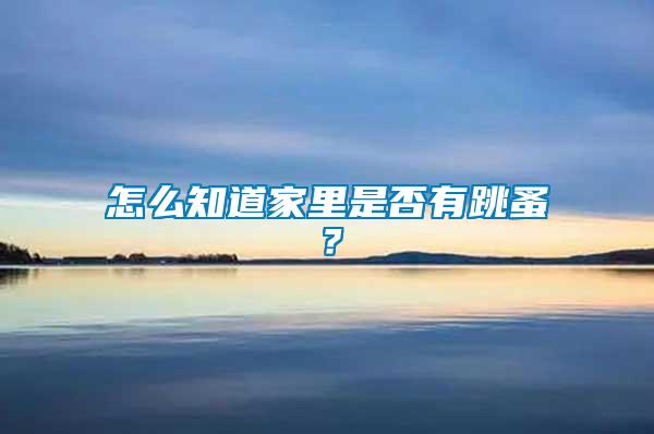 怎么知道家里是否有跳蚤？