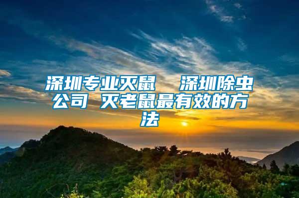 深圳專(zhuān)業(yè)滅鼠  深圳除蟲(chóng)公司 滅老鼠最有效的方法
