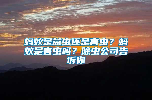 螞蟻是益蟲還是害蟲？螞蟻是害蟲嗎？除蟲公司告訴你