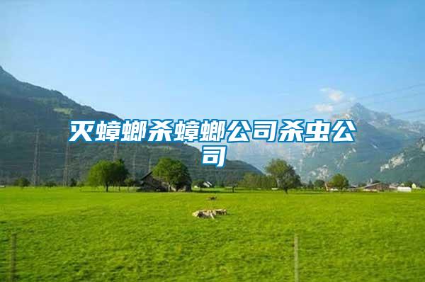 滅蟑螂殺蟑螂公司殺蟲(chóng)公司
