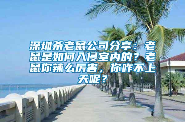 深圳殺老鼠公司分享：老鼠是如何入侵室內(nèi)的？老鼠你辣么厲害，你咋不上天呢？