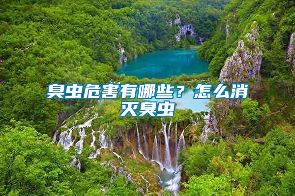 臭蟲(chóng)危害有哪些？怎么消滅臭蟲(chóng)