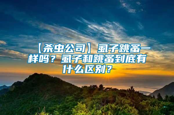 【殺蟲公司】虱子跳蚤一樣嗎？虱子和跳蚤到底有什么區(qū)別？