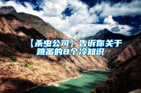 【殺蟲公司】告訴你關(guān)于跳蚤的8個(gè)冷知識(shí)