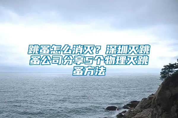 跳蚤怎么消滅？深圳滅跳蚤公司分享5個物理滅跳蚤方法