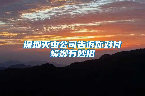 深圳滅蟲公司告訴你對(duì)付蟑螂有妙招