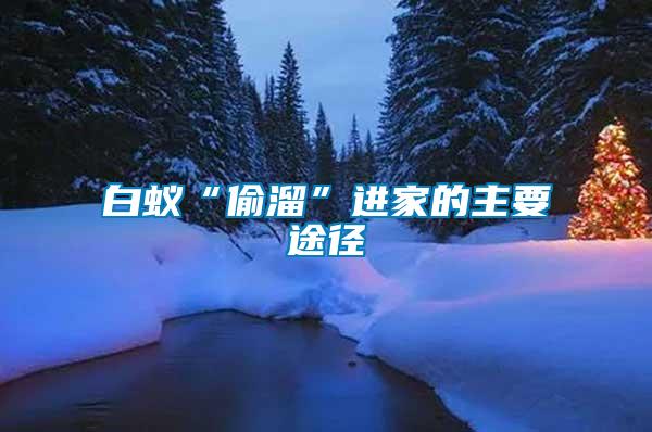 白蟻“偷溜”進(jìn)家的主要途徑