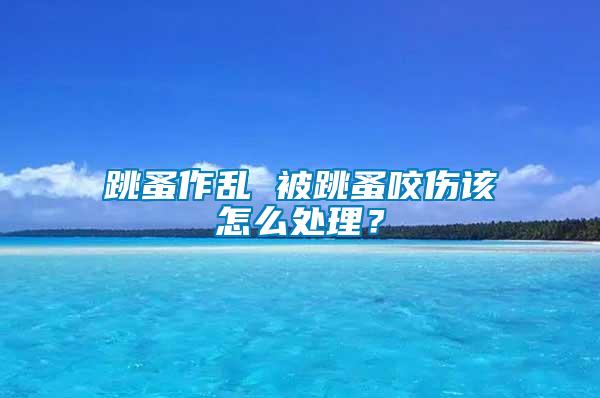 跳蚤作亂 被跳蚤咬傷該怎么處理？