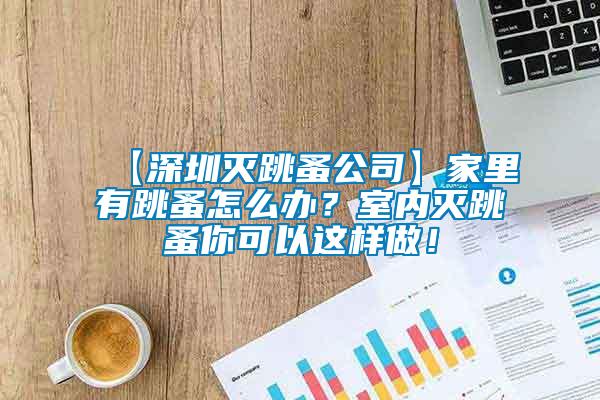 【深圳滅跳蚤公司】家里有跳蚤怎么辦？室內滅跳蚤你可以這樣做！