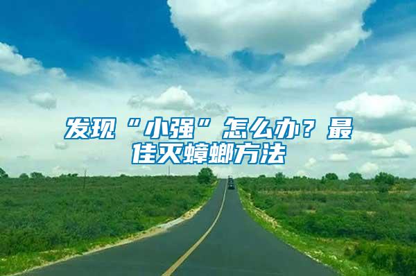 發(fā)現(xiàn)“小強(qiáng)”怎么辦？最佳滅蟑螂方法