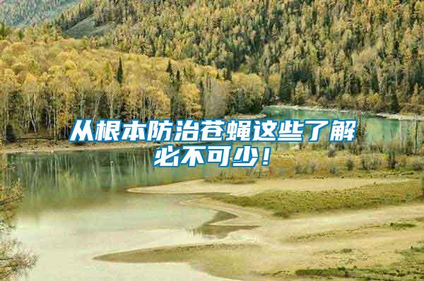 從根本防治蒼蠅這些了解必不可少！