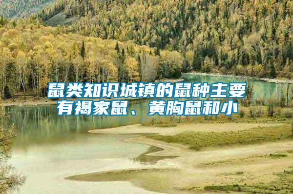 鼠類知識(shí)城鎮(zhèn)的鼠種主要有褐家鼠、黃胸鼠和小