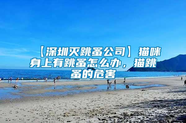【深圳滅跳蚤公司】貓咪身上有跳蚤怎么辦，貓?zhí)榈奈：?/></p>
             <p style=