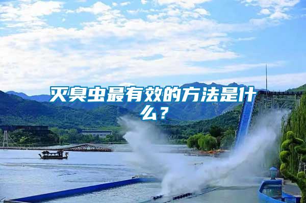 滅臭蟲(chóng)最有效的方法是什么？