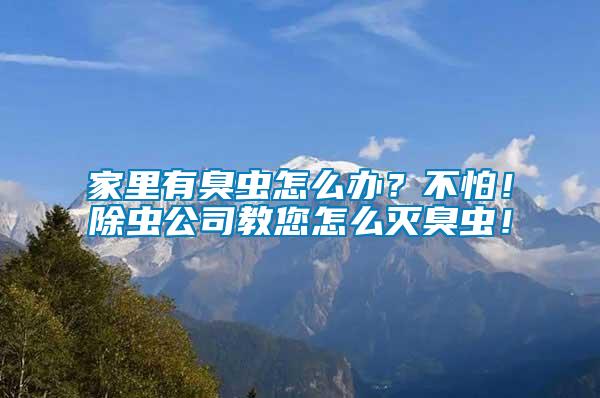 家里有臭蟲(chóng)怎么辦？不怕！除蟲(chóng)公司教您怎么滅臭蟲(chóng)！