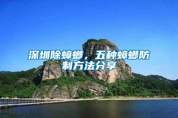 深圳除蟑螂，五種蟑螂防制方法分享