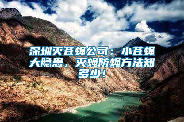 深圳滅蒼蠅公司：小蒼蠅大隱患，滅蠅防蠅方法知多少！