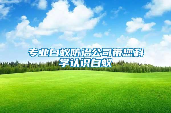 專業(yè)白蟻防治公司帶您科學(xué)認識白蟻