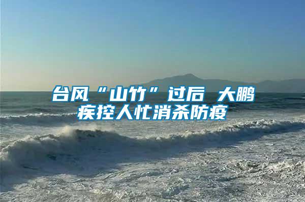 臺風(fēng)“山竹”過后 大鵬疾控人忙消殺防疫
